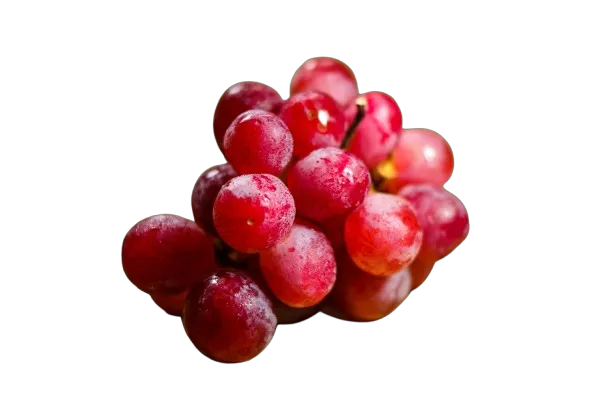 Uvas