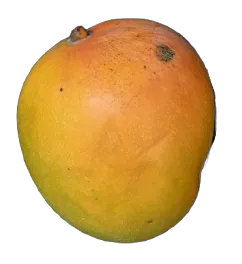Mangos