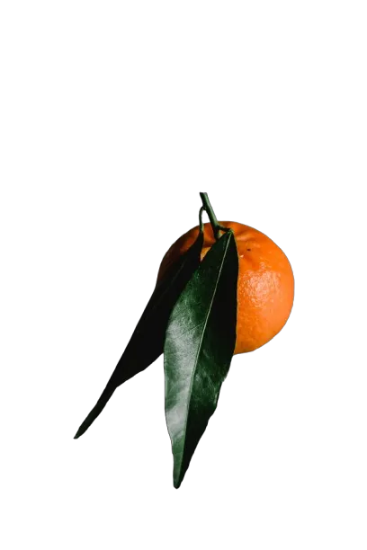 Mandarina